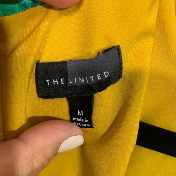 THE Limited- woman’s sleeveless sundress. Lined, mock neck. Size medium.… - Picture 10 of 10